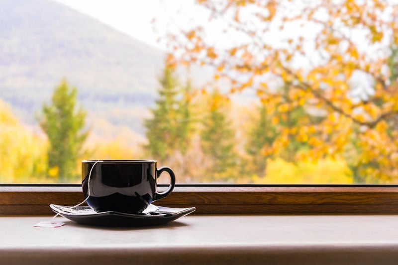 Mug with tea in front of a window with a fall view outside.